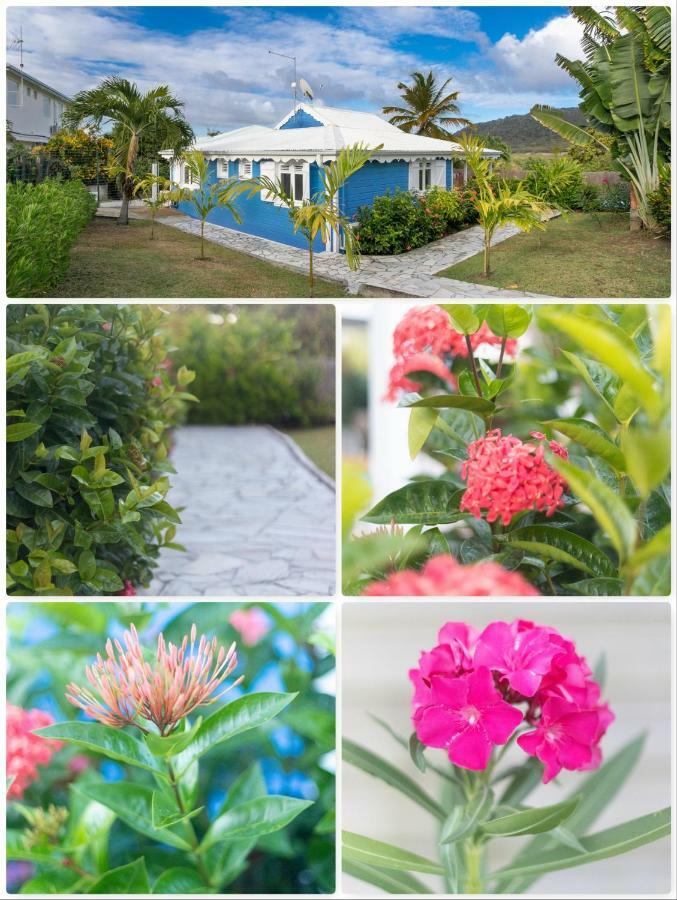 Villa Alize & Villa Aigue-Marine Сент-Ан Екстериор снимка